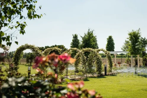 49d5818c-c768-4f18-8dae-5f4de139aa5f 49d5818c-c768-4f18-8dae-5f4de139aa5f