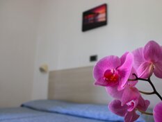 cc11b126-9535-4fea-8a75-2b4a4aeed864 cc11b126-9535-4fea-8a75-2b4a4aeed864