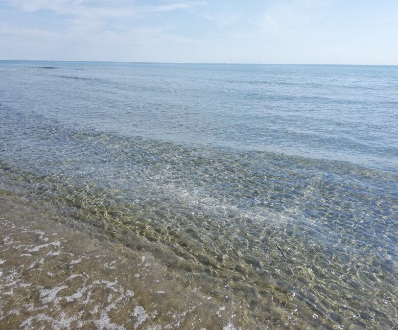 c697a30b-6c12-4c38-9e2e-b4be5e818525