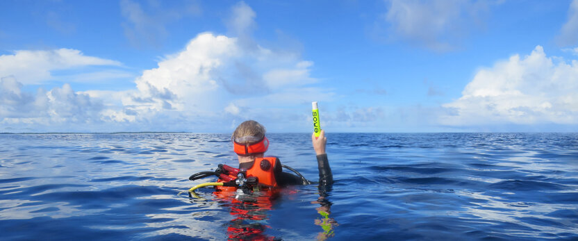 2bc24d12-1403-42b5-8b5d-53ad3614112a