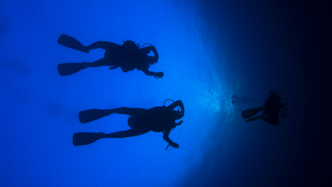 fd252dde-538d-4797-bec3-a48816272cbf fd252dde-538d-4797-bec3-a48816272cbf