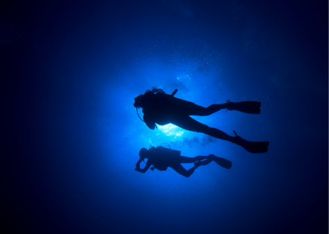 e508f74a-45af-456c-8216-0f7f807a3b57