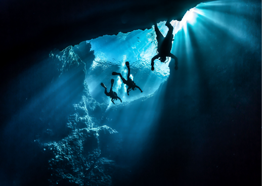 776bc185-fb7e-407c-bfb1-917c5ebc6f09