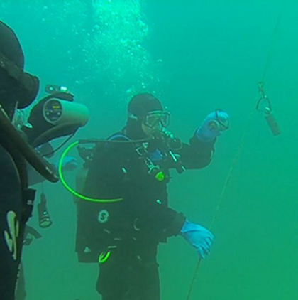 fb821eea-ee6f-49d0-bfc0-472f1c826f04