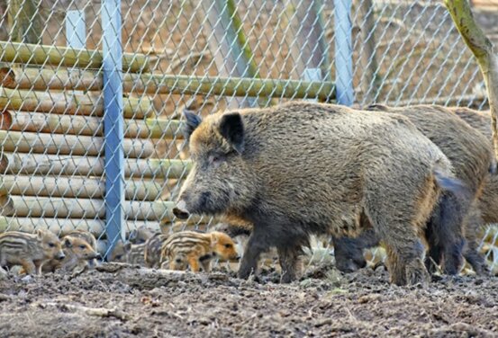 3df78ad0-4b87-4d3c-b3c2-383f47d7f58a 3df78ad0-4b87-4d3c-b3c2-383f47d7f58a