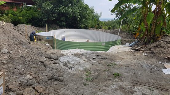 6cf2bfc7-d05a-4091-8b74-e1cea2c8d423 6cf2bfc7-d05a-4091-8b74-e1cea2c8d423