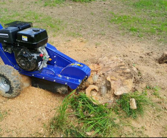 f3dceb38-aee8-482c-8b6f-8f62181d091a f3dceb38-aee8-482c-8b6f-8f62181d091a