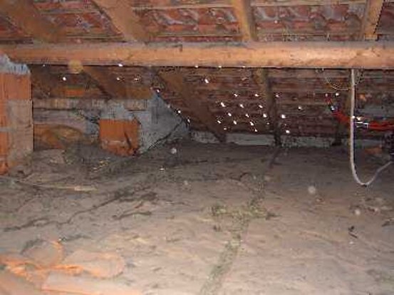 5a69980c-b938-4277-a6c3-4fb5025bcf91 5a69980c-b938-4277-a6c3-4fb5025bcf91