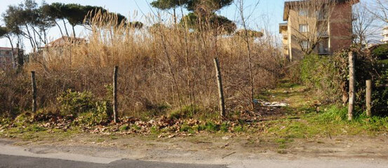 1117241c-d498-472c-992b-a4de45ec55e0 1117241c-d498-472c-992b-a4de45ec55e0