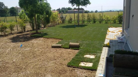 03f475b0-c70b-4d95-aea6-1d059a3ac85c 03f475b0-c70b-4d95-aea6-1d059a3ac85c