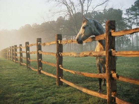 9e8456ee-99a3-456c-85ec-14d158612c78 9e8456ee-99a3-456c-85ec-14d158612c78