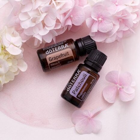 874b2c22-602c-48b7-879d-36228b3b1a14