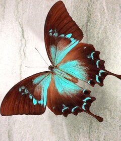 de345dbf-b020-4af8-931d-8cc6677a11df