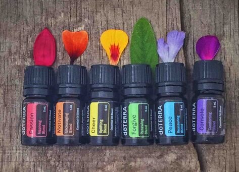 6edbee1c-359c-431b-83b2-cc3d51ec0603