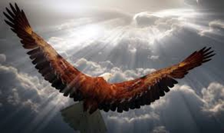 4590b93e-c643-4269-a99e-7224ff4dff9b