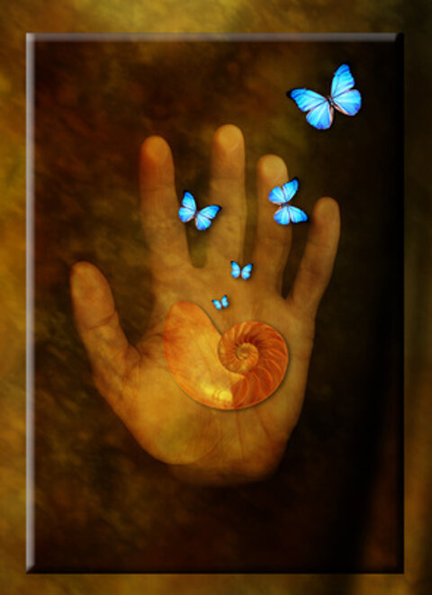 548c30b1-2601-4419-b5b0-0db7dc4c0d80