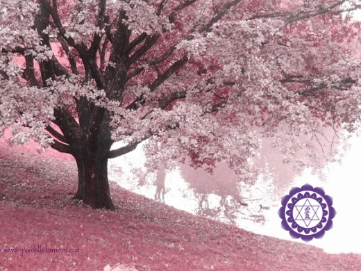 d8ad701243e2472fa603a0616a320419