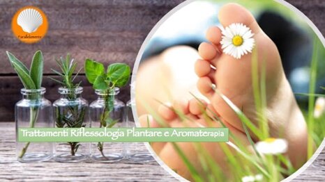 fa9ea19d-b887-413a-9547-62f7b0cbb997