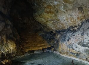 12a0706e-2e02-47a7-95fd-8c12cd1f9577.jpeg