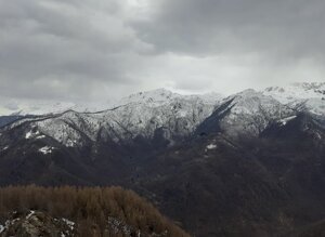 20260329_115203.jpeg