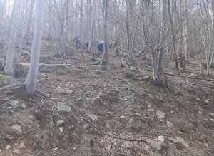 20260329_112243.jpeg