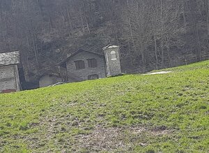 20260329_115230.jpeg