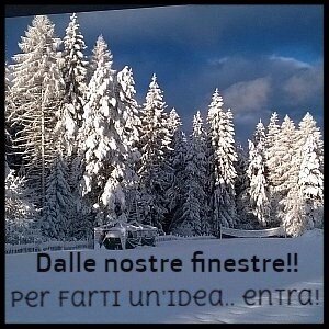 7ac00c93-2142-43d4-82b8-a8503a220c11