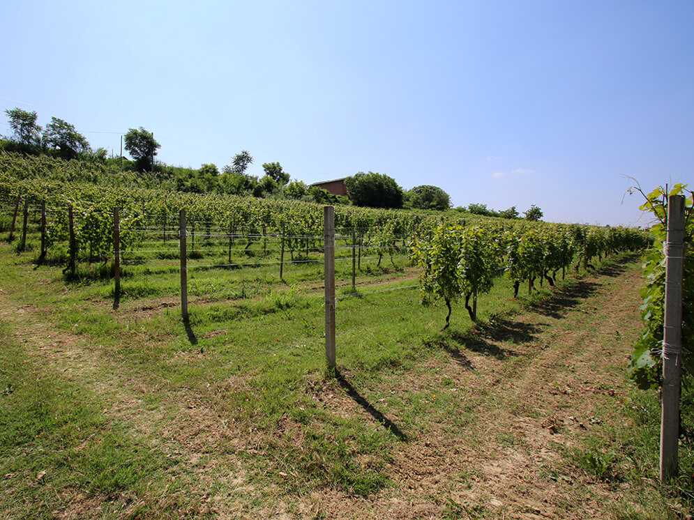 gal84.jpeg gal84.jpeg