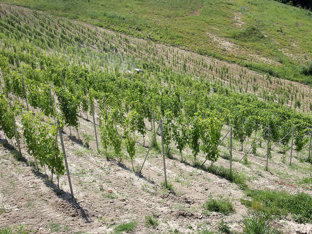 gal56.jpeg gal56.jpeg