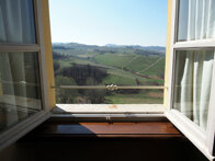 camera1c_1 camera1c_1