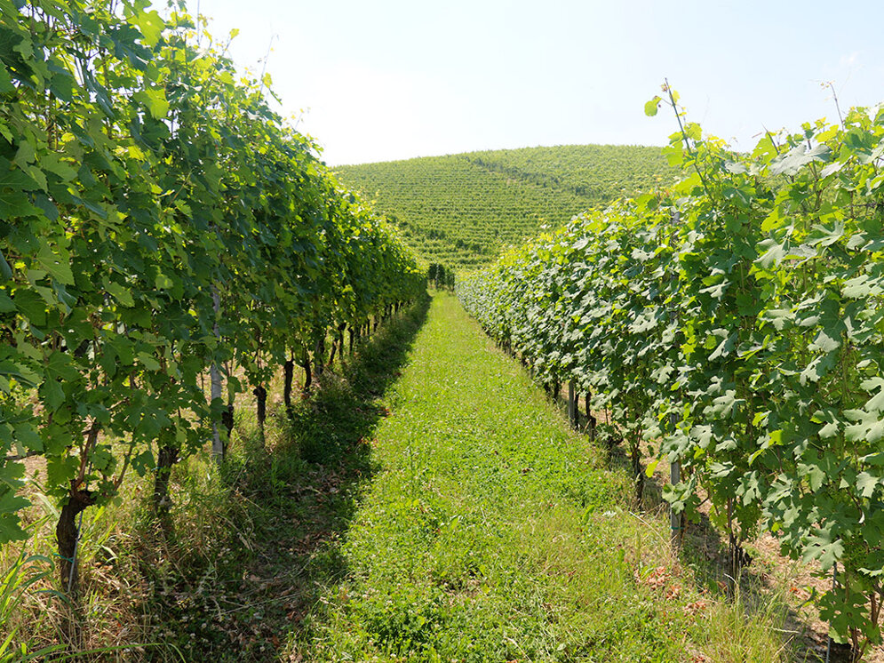 gal76.jpeg gal76.jpeg