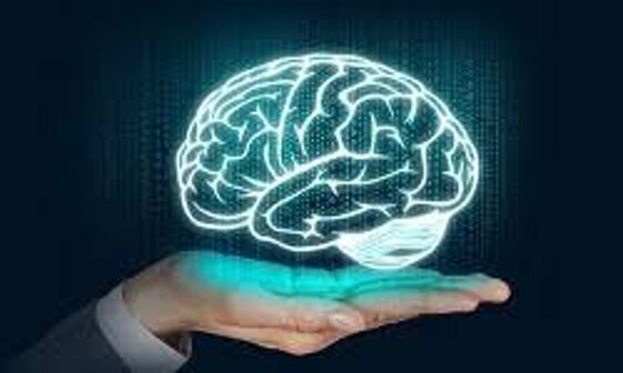 493954d2-9833-4e23-929a-302c0a4f6805.jpeg 493954d2-9833-4e23-929a-302c0a4f6805.jpeg