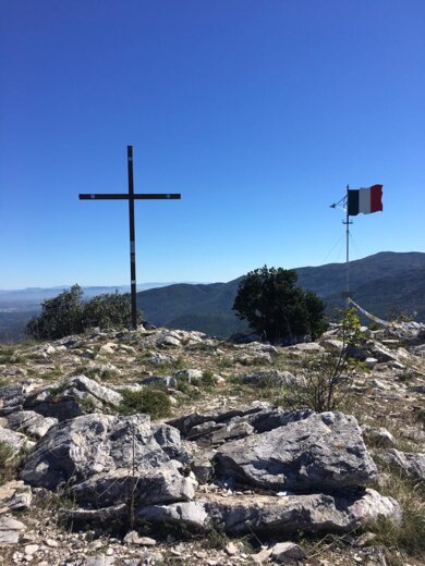 221cf37e-09cc-4be1-9f00-52ba14d7c315-768x1024.jpeg 221cf37e-09cc-4be1-9f00-52ba14d7c315-768x1024.jpeg