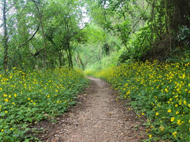 gopr0697.jpeg gopr0697.jpeg