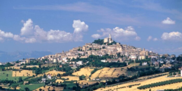 868b6503-baed-4d5b-bfc2-b074995303a3.jpeg 868b6503-baed-4d5b-bfc2-b074995303a3.jpeg