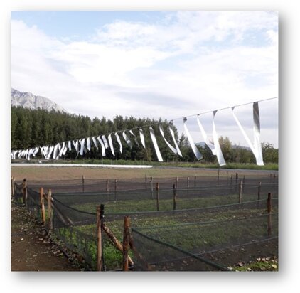 immagine11.jpeg immagine11.jpeg