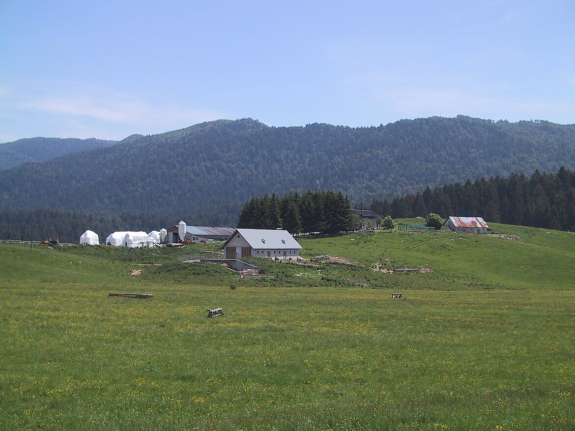 99e4d8f8-16c6-4485-b1dd-1ba1403b0f42