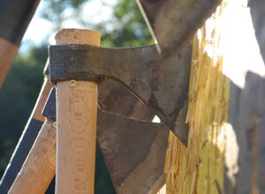 schermata%202026-01-30%20alle%2011.45.43.jpeg schermata%202026-01-30%20alle%2011.45.43.jpeg