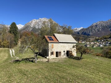 img_6194.jpeg img_6194.jpeg