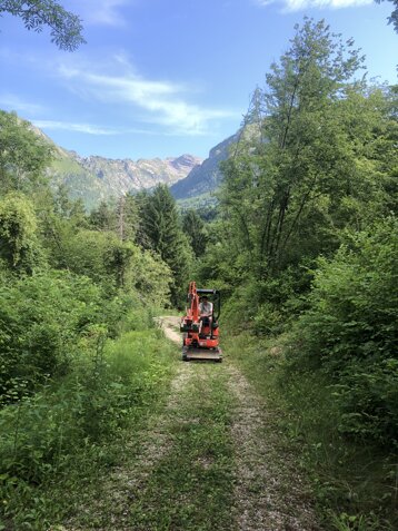 img_1597.jpeg img_1597.jpeg