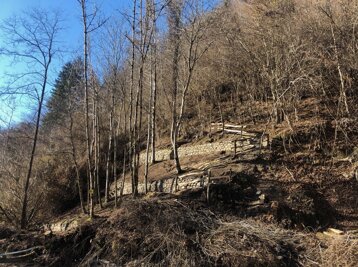 d64c1a74-e907-4da7-b4b7-f866614f1123 d64c1a74-e907-4da7-b4b7-f866614f1123