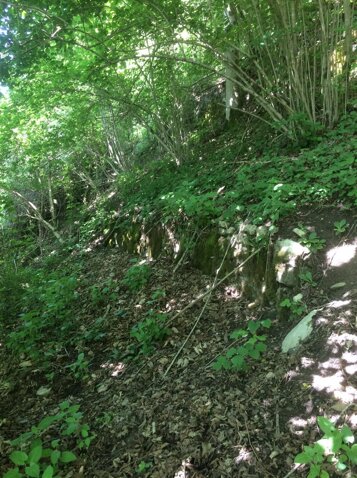 088fc5ed-bb1e-431a-a08a-cb000dbd21a7 088fc5ed-bb1e-431a-a08a-cb000dbd21a7