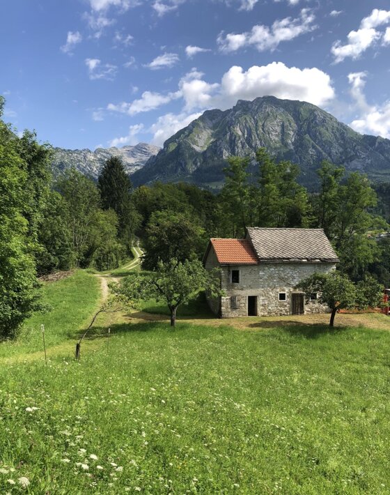 a2b2833e-ea61-4180-a06f-f18d74f1910e a2b2833e-ea61-4180-a06f-f18d74f1910e