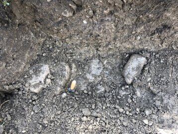 69bbb717-b8e5-4bac-83b3-c4aeb122cb65 69bbb717-b8e5-4bac-83b3-c4aeb122cb65