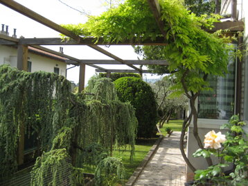 15d01276-4a2d-41c8-b75b-4fcec2a83e57