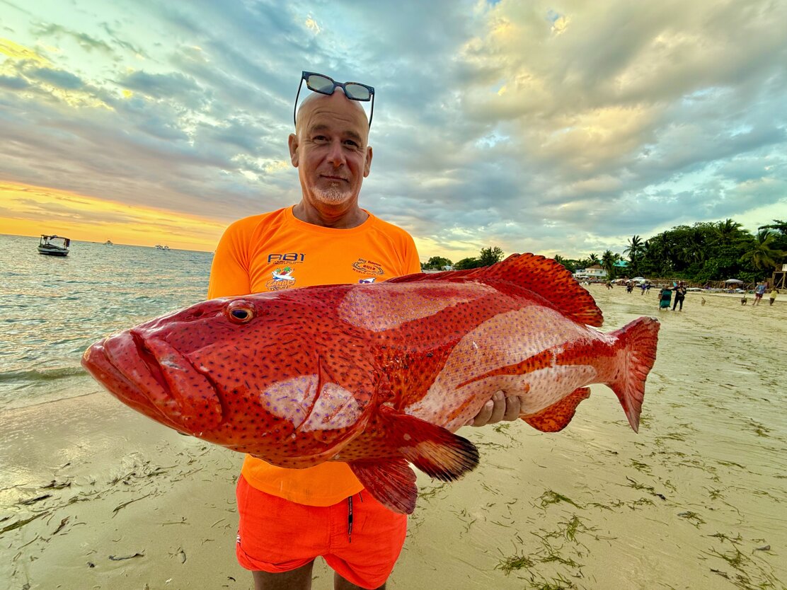 img_1233 copia 2.jpeg