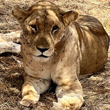 ed067668-13b1-4534-bf48-97aa587f7180 ed067668-13b1-4534-bf48-97aa587f7180