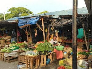 malindi mercato malindi mercato
