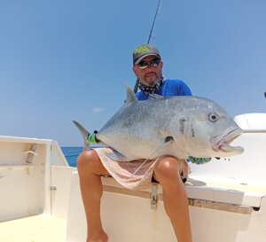 f3380822-c6bb-4039-8445-4d843eaef1c3