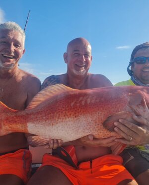 496987c0-b457-457a-8aea-e9bb76f99912